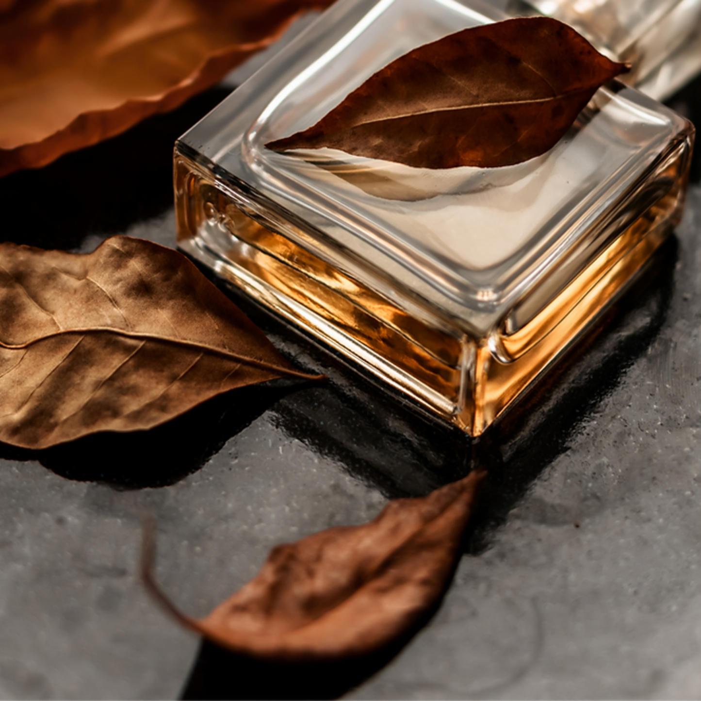 Eau de Parfum (1.7 fl oz)